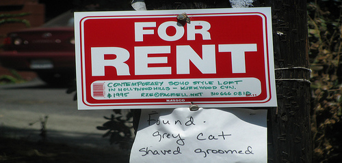 for rent