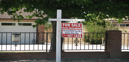 for sale